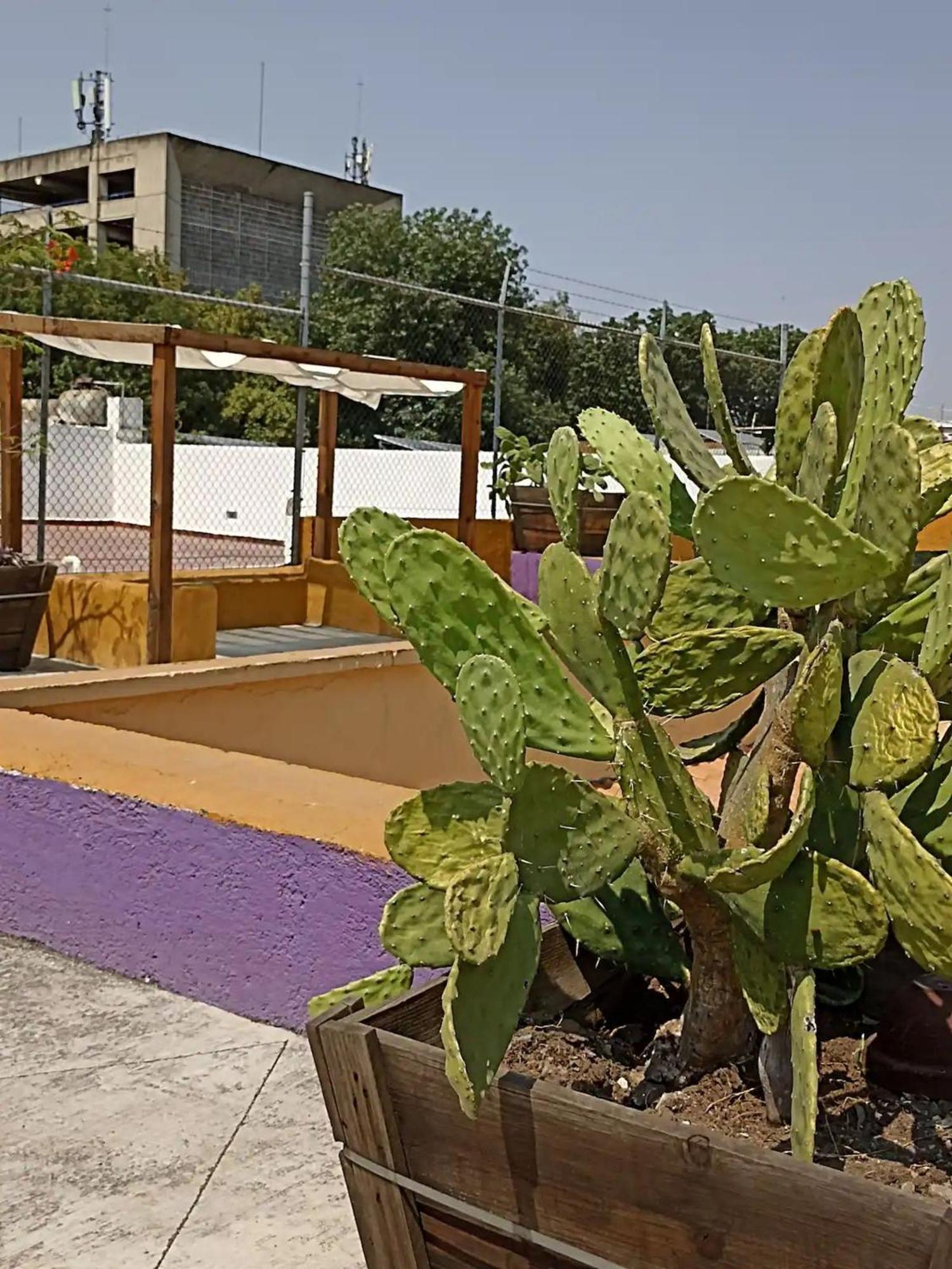1 Guadalajara Corazon Del Centro Historico Hospedate En Una Casa Antigua En Una Habitacion Sencilla Con Areas Comunes Y Banos Compartidas المظهر الخارجي الصورة
